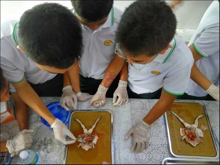 Practical Science Work